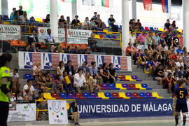 Asistentes al partido Brasil contra España. 14º Campeonato del Mundo Universitario de Fútbol Sala 2014 (FUTSAL). Antequera. Julio de 2014
