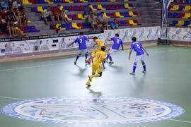 Partido Ucrania contra Brasil. 14º Campeonato del Mundo Universitario de Fútbol Sala 2014 (FUTSAL). Antequera. Julio de 2014