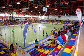 Partido Ucrania contra Brasil. 14º Campeonato del Mundo Universitario de Fútbol Sala 2014 (FUTSAL). Antequera. Julio de 2014