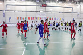 Saludo final. Partido Irán contra Alemania. 14º Campeonato del Mundo Universitario de Fútbol Sala 2014 (FUTSAL). Antequera. Julio de 2014