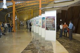 2º Congreso Internacional de Actividad Físico-Deportiva para Mayores de la Universidad de Málaga. Palacio de Ferias y Congresos de Málaga. Marzo de 2007