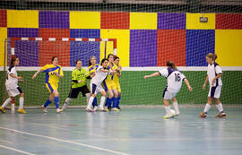 Partido de fútbol sala. Fases Finales de los Campeonatos de España Universitarios. Antequera. Abril de 2012