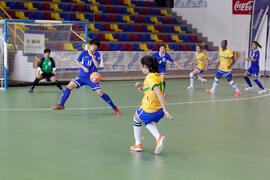 Partido Brasil contra China Taipéi. 14º Campeonato del Mundo Universitario de Fútbol Sala 2014 (FUTSAL). Antequera. Julio de 2014