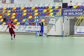 Partido Irán contra Bielorrusia. 14º Campeonato del Mundo Universitario de Fútbol Sala 2014 (FUTSAL). Antequera. Julio de 2014