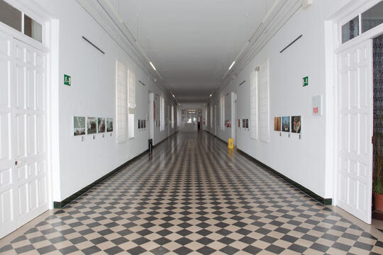 Open original Digital object