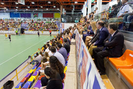 Asistentes al partido Brasil contra España. 14º Campeonato del Mundo Universitario de Fútbol Sala 2014 (FUTSAL). Antequera. Julio de 2014