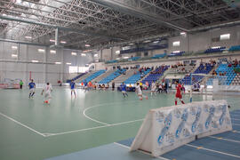 Partido Brasil contra Iran. 14º Campeonato del Mundo Universitario de Fútbol Sala 2014 (FUTSAL). Antequera. Julio de 2014