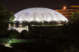 Jardín Botánico de la Universidad de Málaga. Campus de Teatinos. Junio de 2009