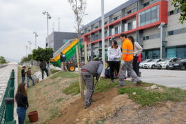 "Primera arbolada" en la Universidad de Málaga. Escuela Técnica Superior de Ingeniería Industrial. Enero de 2020
