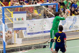 Partido Brasil contra España. 14º Campeonato del Mundo Universitario de Fútbol Sala 2014 (FUTSAL). Antequera. Julio de 2014