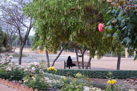 Jardín Botánico. Campus de Teatinos. Mayo de 2013
