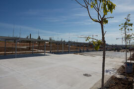 Obras del nuevo Pabellón de Gobierno. Campus de Teatinos. Abril de 2021