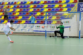 Partido Irán contra Bielorrusia. 14º Campeonato del Mundo Universitario de Fútbol Sala 2014 (FUTSAL). Antequera. Julio de 2014