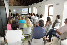Cursos de verano 2012 de la Universidad de Málaga. Culturas y prácticas artísticas en la sociedad digital. Marbella. Julio de 2012