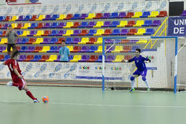 Partido Irán contra Bielorrusia. 14º Campeonato del Mundo Universitario de Fútbol Sala 2014 (FUTSAL). Antequera. Julio de 2014