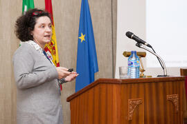 Intervención de Josefina Santolaya. VII Workshop Sección Estrategia Empresarial de Acede. Facultad de Ciencias Económicas y Empresariales. Málaga. Febrero de 2015