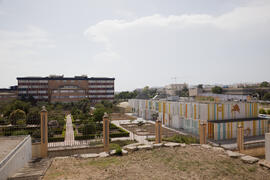 Jardín Botánico de la Universidad de Málaga. Campus de Teatinos. Junio de 2009