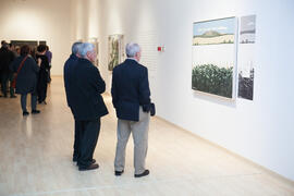 Inauguración de la exposición "Paisajes Andaluces", de Eugenio Chicano. Museo del Patrimonio Municipal. Diciembre de 2016