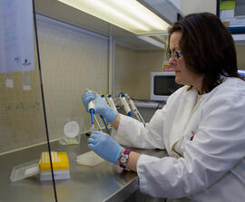 CIMES: Centro de Investigaciones Médico Sanitarias. Campus de Teatinos. Mayo de 2013