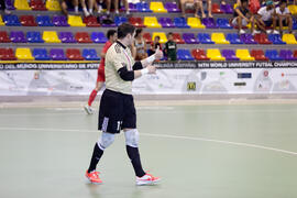 Partido Irán contra Rusia. 14º Campeonato del Mundo Universitario de Fútbol Sala 2014 (FUTSAL). Antequera. Julio de 2014