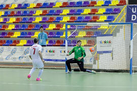 Partido Irán contra Bielorrusia. 14º Campeonato del Mundo Universitario de Fútbol Sala 2014 (FUTSAL). Antequera. Julio de 2014