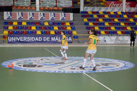 Partido Brasil contra Rusia. 14º Campeonato del Mundo Universitario de Fútbol Sala 2014 (FUTSAL). Antequera. Julio de 2014