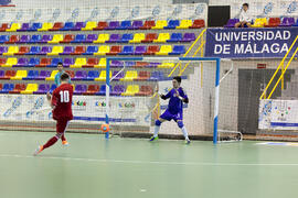 Partido Irán contra Bielorrusia. 14º Campeonato del Mundo Universitario de Fútbol Sala 2014 (FUTSAL). Antequera. Julio de 2014