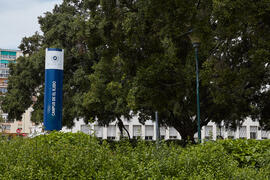 Jardín central del Campus de El Ejido. Abril de 2021
