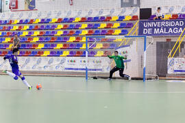 Partido Irán contra Bielorrusia. 14º Campeonato del Mundo Universitario de Fútbol Sala 2014 (FUTSAL). Antequera. Julio de 2014