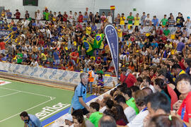 Asistentes al partido Brasil contra España. 14º Campeonato del Mundo Universitario de Fútbol Sala 2014 (FUTSAL). Antequera. Julio de 2014