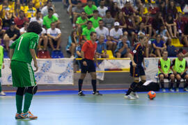 Partido Brasil contra España. 14º Campeonato del Mundo Universitario de Fútbol Sala 2014 (FUTSAL). Antequera. Julio de 2014
