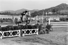 Málaga. Fiestas de Invierno. Pruebas hípicas. Febrero de 1963