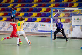 Partido Brasil contra Rusia. 14º Campeonato del Mundo Universitario de Fútbol Sala 2014 (FUTSAL). Antequera. Julio de 2014