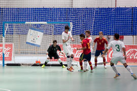 Partido España contra Portugal. 14º Campeonato del Mundo Universitario de Fútbol Sala 2014 (FUTSAL). Antequera. Julio de 2014