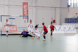 Partido España contra Rusia. 14º Campeonato del Mundo Universitario de Fútbol Sala 2014 (FUTSAL). Antequera. Julio de 2014