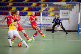 Partido Brasil contra Rusia. 14º Campeonato del Mundo Universitario de Fútbol Sala 2014 (FUTSAL). Antequera. Julio de 2014