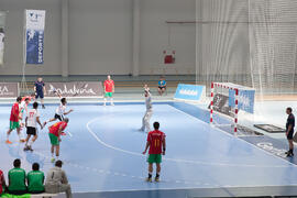 Partido Portugal - Egipto. Categoría masculina. Campeonato del Mundo Universitario de Balonmano. Antequera. Junio de 2016
