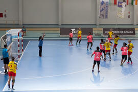 Partido India - Rumanía. Categoría femenina. Campeonato del Mundo Universitario de Balonmano. Antequera. Junio de 2016