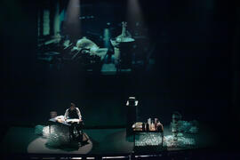 Gala inaugural de la XXV edición de Fancine de la Universidad de Málaga. Teatro Cervantes. Noviembre de 2015