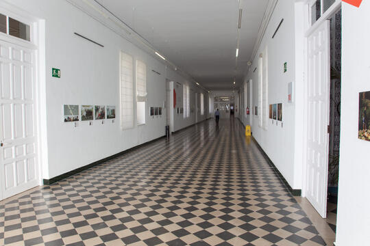 Open original Objeto digital
