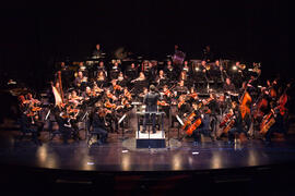 Gala Inaugural de la XXIII edición de Fancine. Teatro Cervantes. Noviembre de 2013
