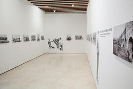 Exposición "El sur de Europa en los inicios del siglo XX. Málaga-Sevilla, Sevilla-Málaga. Fotografías de Thomas". Sala de exposiciones de la Sociedad Económica de Amigos del País. Enero de 2013