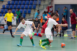 Partido Portugal contra República Checa. 14º Campeonato del Mundo Universitario de Fútbol Sala 2014 (FUTSAL). Antequera. Julio de 2014
