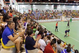 Asistentes al partido Brasil contra España. 14º Campeonato del Mundo Universitario de Fútbol Sala 2014 (FUTSAL). Antequera. Julio de 2014