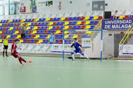 Partido Irán contra Bielorrusia. 14º Campeonato del Mundo Universitario de Fútbol Sala 2014 (FUTSAL). Antequera. Julio de 2014