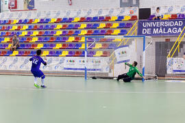 Partido Irán contra Bielorrusia. 14º Campeonato del Mundo Universitario de Fútbol Sala 2014 (FUTSAL). Antequera. Julio de 2014