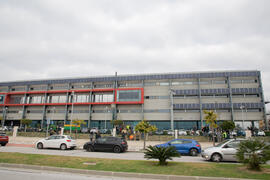 "Primera arbolada" en la Universidad de Málaga. Escuela Técnica Superior de Ingeniería Industrial. Enero de 2020