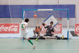 Partido Portugal contra República Checa. 14º Campeonato del Mundo Universitario de Fútbol Sala 2014 (FUTSAL). Antequera. Julio de 2014