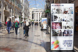 Exposición "La Universidad de Málaga del Siglo XXI". Calle Larios. Enero de 2017