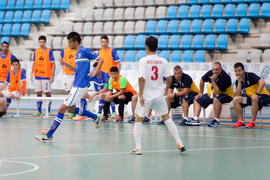 Partido Brasil contra Iran. 14º Campeonato del Mundo Universitario de Fútbol Sala 2014 (FUTSAL). Antequera. Julio de 2014